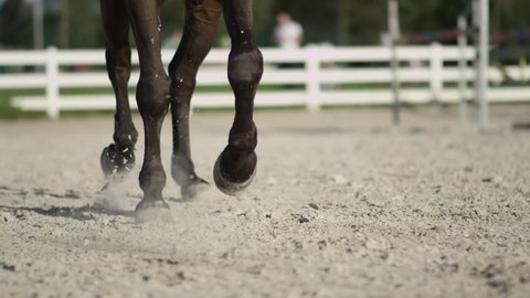 SLOW MOTION, CLOSE UP, DOF: Detail of horse legs working trot in big sandy outdoor riding arena. Female rider riding traver in dressage. Stallion performing haunches-in competing on the competition