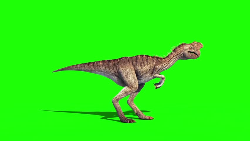 Oviraptor Dinosaurs Die Side Green Screen Jurassic World 3D Rendering Animation
