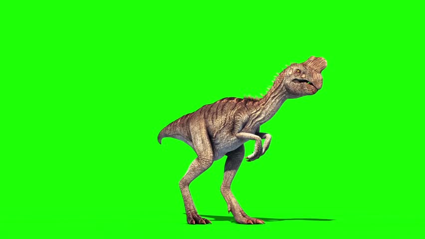 Oviraptor Dinosaurs Run Cycle Green Scre, Stock Video