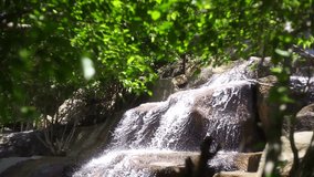 Waterfall in Tropical Paradise HD
