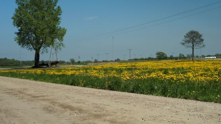 Farmer and horse