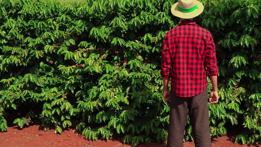 farmer with hat