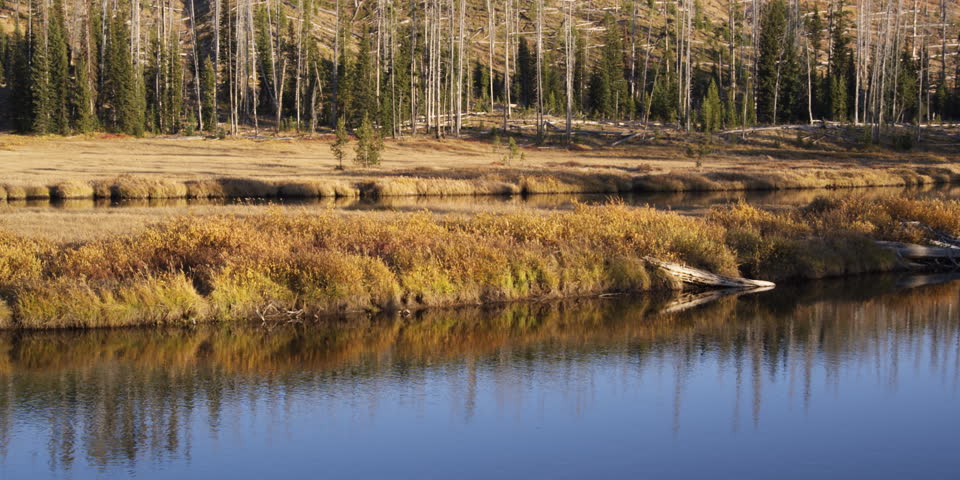 autumn at a river in Wyoming