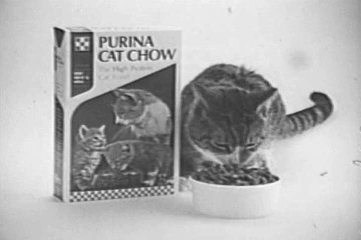 purina cat chow commercial