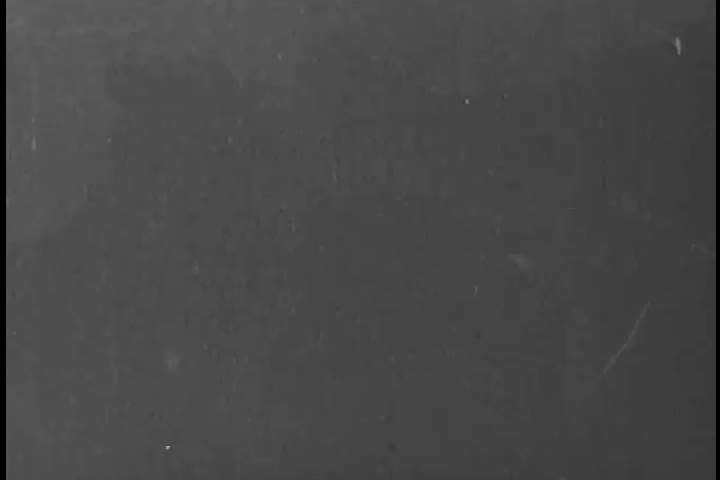 1930s: The entrance to the Pisgah National Forest, campgrounds, an animated map, deer and bear cubs are shown, outdoors, in 1930.