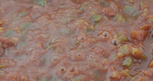 Video of chunky thick spaghetti sauce cooking with bubbles and steam rising from the food.