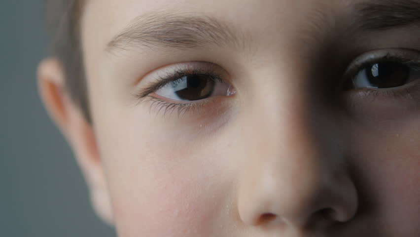 Close up portrait of little boy looking at camera | Shutterstock HD Video #26846200