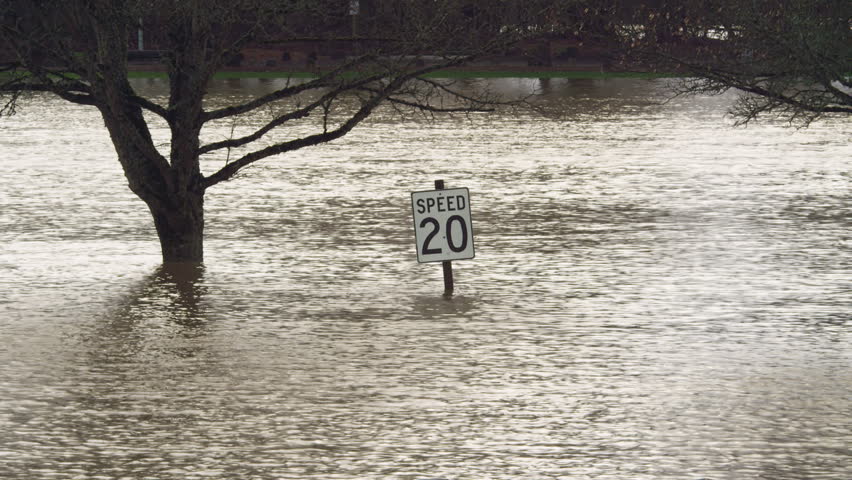 A speed sign and a tree standing in moving floodwater