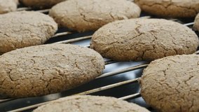 Slow tilt baked surface of homemade cookies close-up 4K 2160p 30fps UltraHD footage - Tilting on whole wheat bread product on baking grill 3840X2160 UHD video