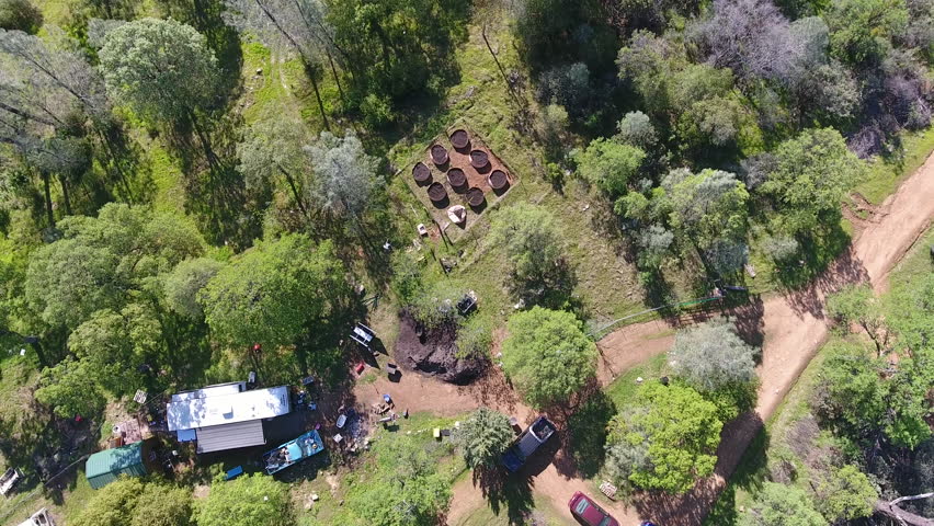 Small Marijuana Farm in Woods Aerial 2