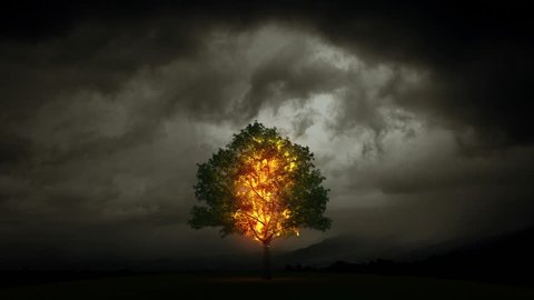 Lightning burns a tree