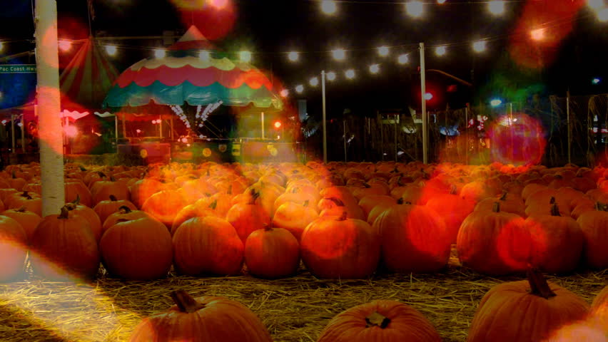 rows of pumpkins at a night time autumn season festival with overlaid soft focus