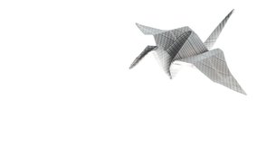 Beautiful origami crane animated. Origami crane flying in white background. 4K video
