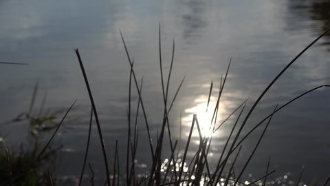 footage of the sun reflection on the surface of a pond 