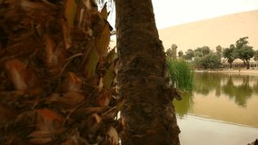 video footage of the oasis huacachina in Ica, Peru