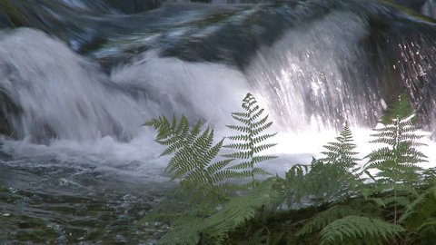 Beautiful small waterfall in forest