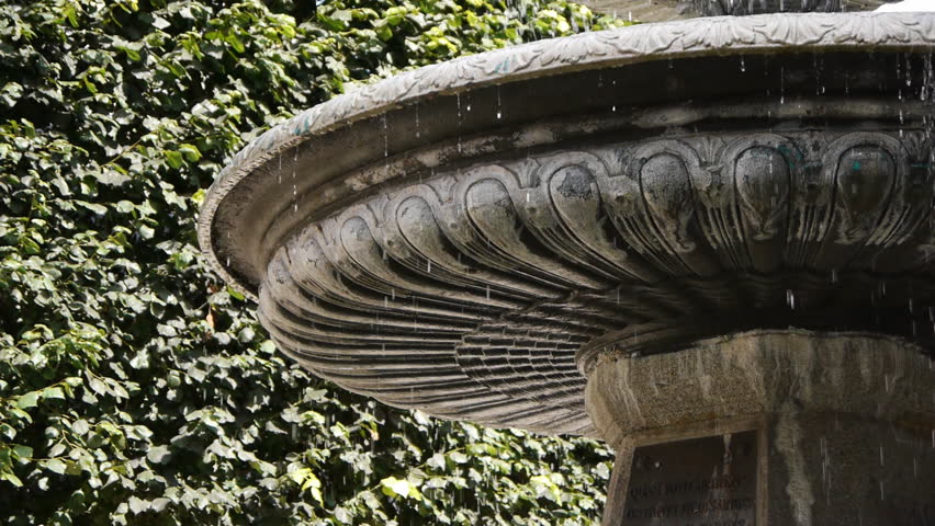 Old ornamental fountain in front of trees