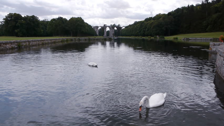 Swans swimming in a lake in front of an old aquaduct in france