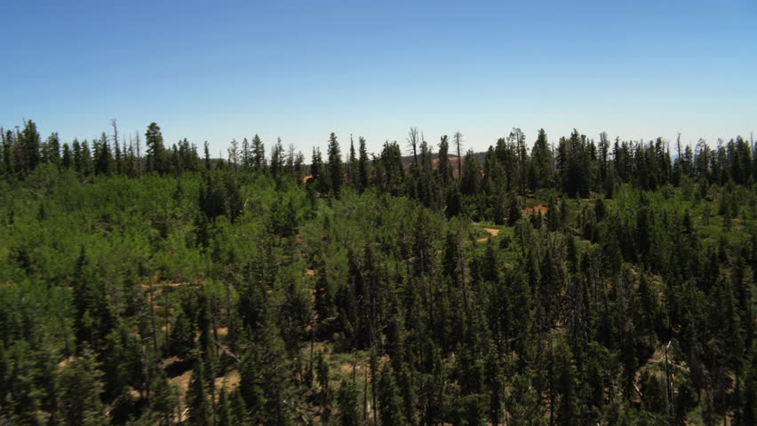 Over pine forest crowning weathered buttes in Bryce Canyon, Utah. Shot in June 2013.