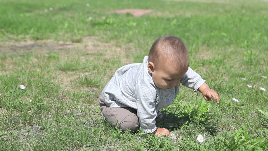 Small adorable kid sitting on lawn and playing with green grass