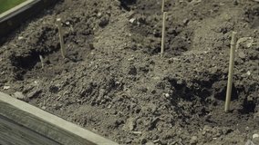 Digging hole and planting seeds. Vegetable elevated wooden beds. Gardening equipment for home gardeners. Trowel, rake and seed setting. Sunny day, agriculture equipment. V-log slow motion footage