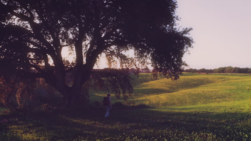 Girl with Backpack Walking in Country Fields at Sunset