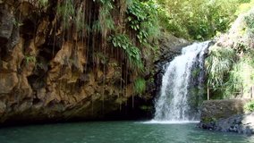 Pretty wide shot of Annandale falls in Grenada