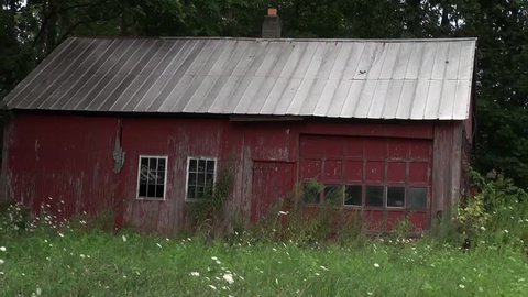 Old red barn with daisies and unmoved lawn.