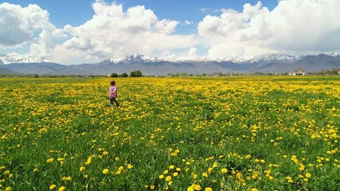A beautiful aerial shot of a boy running in slow motion through the yellow flowers in a mountain valley field in the Spring with snow on the mountains.