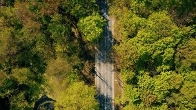 Aerial shot of a forest car road bend, top down view. 4K clip