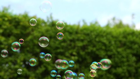 Soap bubbles in the garden