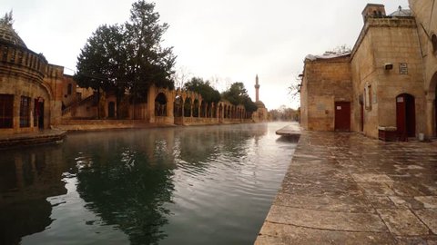 the Legendary Pool of Sacred Fish (Balikligol) Where Abraham Was Thrown Into the Fire by Nimrod. the Pool is in the Courtyard of the Mosque of Halil-Ur-Rahman, Built by the Ayyubids in 1211 and Now