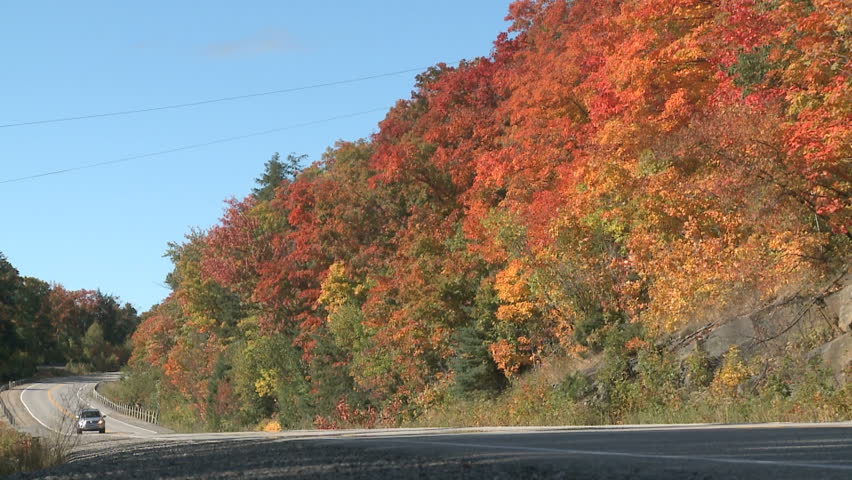 Cars passing by on a highway with fall colors in the background in Algonquin