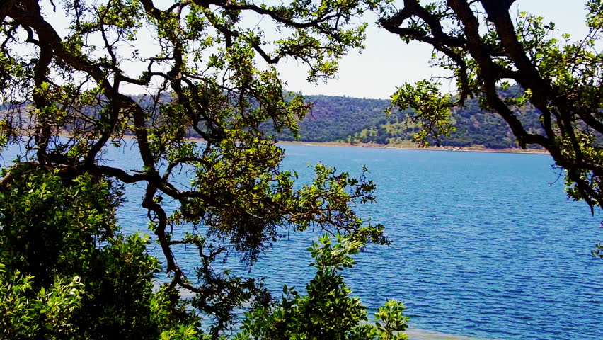 New Melones Lake seen through the branches of an oak tree is a reservoir