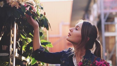 Woman Buying Flowers in a Sunlit Garden Shop. 4K. Young woman shopping for decorative plants on a sunny floristic greenhouse market. Home and Garden concept.