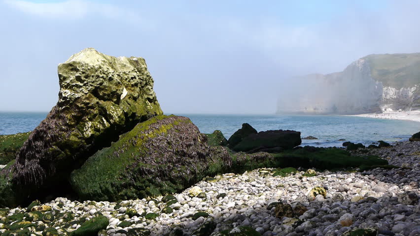 Green rocks on the sea shore. In the distance the steep cliffs near Etretat,