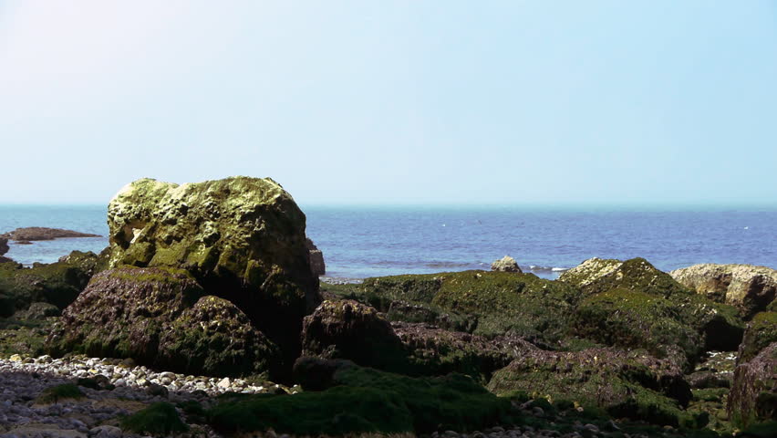 Green rocks on the beach. The shot is taken near Etretat, France