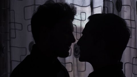 Silhouette of young men kissing with passion near the window