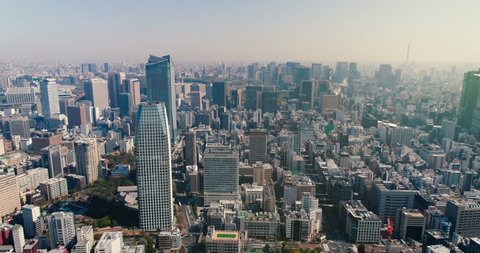 Aerial view of Tokyo skyline with morning light, Japan. Cityscape with downtown buildings.
Light effect applied. 