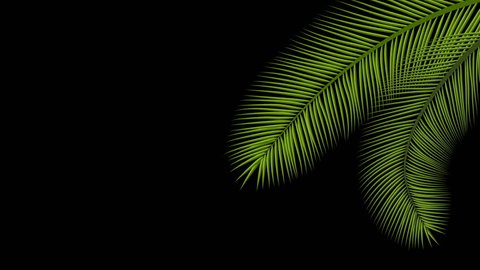 Animated palm tree leaves swaying by wind isolated in an alpha channel with black and white luminance matte, full size, perfect for film, digital composition.
