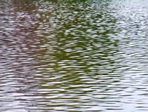 Close view of water shimmering in the sunlight. A good background or texture DV NTSC video