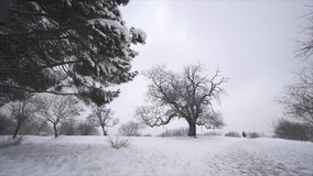 Falling snow in a winter park with snow covered trees and people walking - Slow Motion 