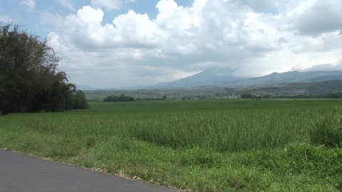 Rural Flores Indonesia Farm land
