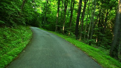 A POV shot of a car going down a rural road lined with trees 1080 HD video