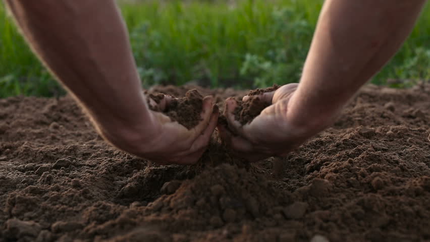 Farmers male hands carefully holding fresh ground.