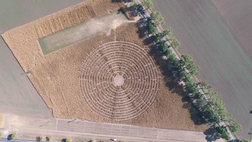 Aerial of a labyrinth in the Corn field	