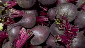 Close up of red beets. Panoramic view FHD video