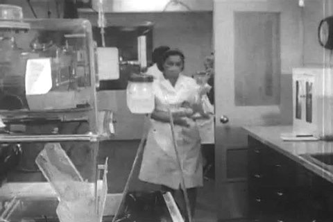 1960s: The newborn monkeys are injected with cancerous cells and raised in an isolated, sterile environment, at the National Cancer Institute laboratories in Maryland.