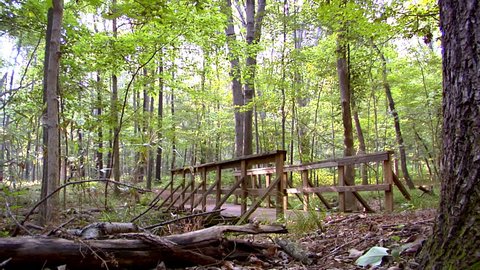 Man crosses a bridge on a nature trail 1080 HD video