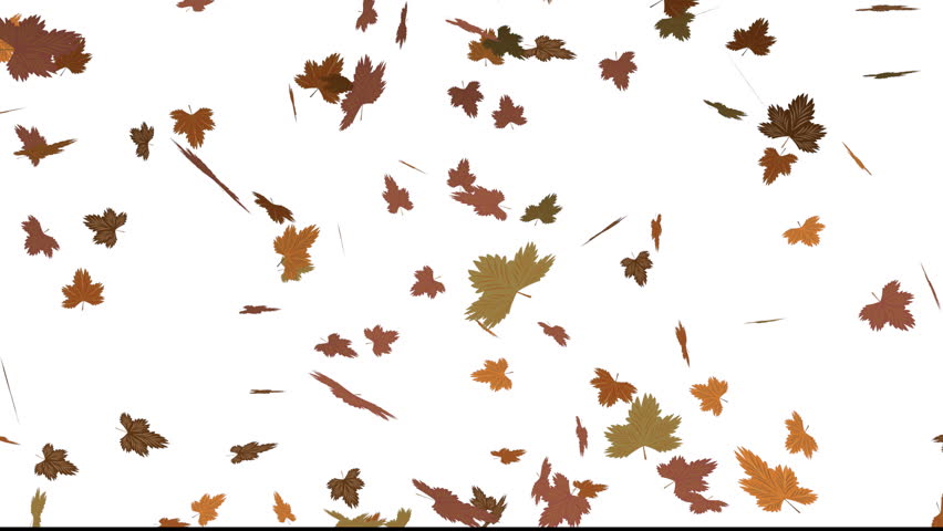 Dry Leaves Falling Stock Footage Video (100% Royalty-free) 2712002 ...